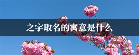 之名字意思|之字取名的含义是什么